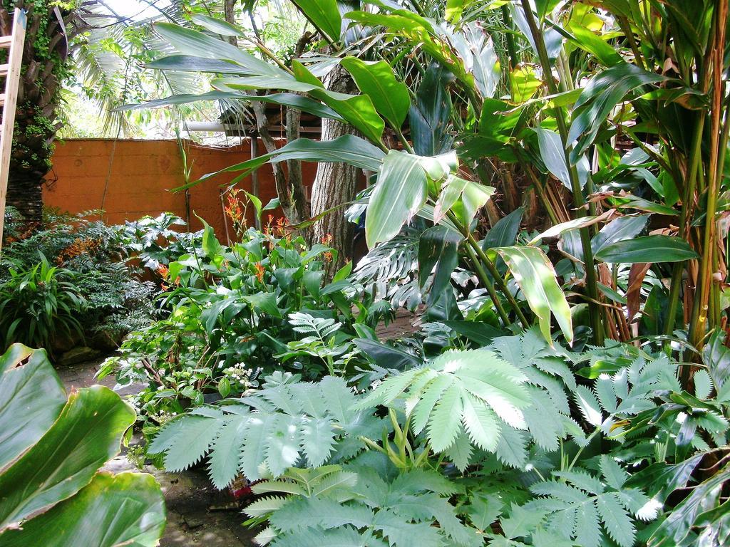 Hostel La Cruz Del Sur La Paloma Eksteriør billede