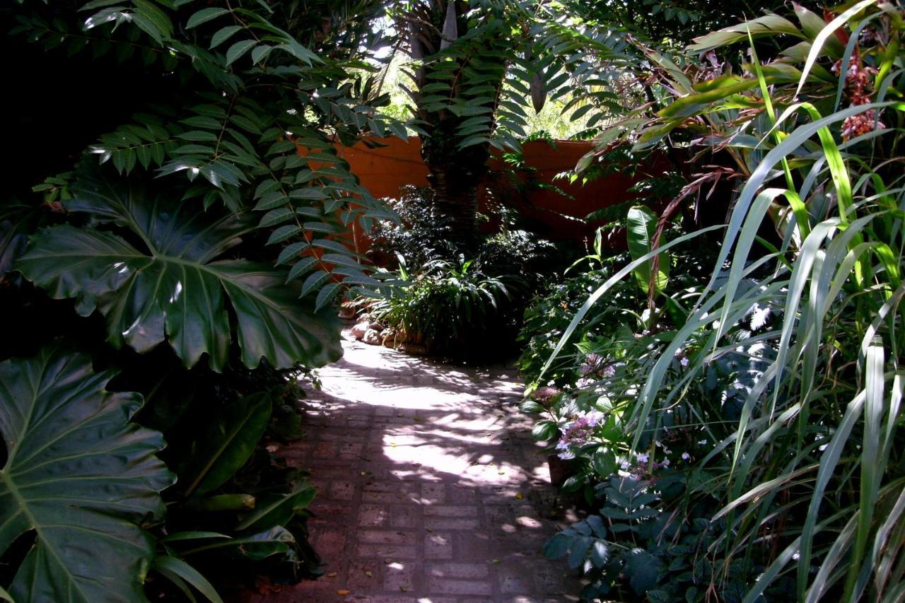 Hostel La Cruz Del Sur La Paloma Eksteriør billede